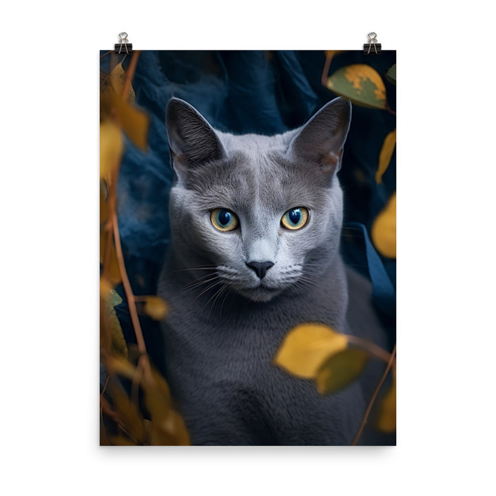 Russian Blue Cat Photo paper poster - PosterfyAI.com