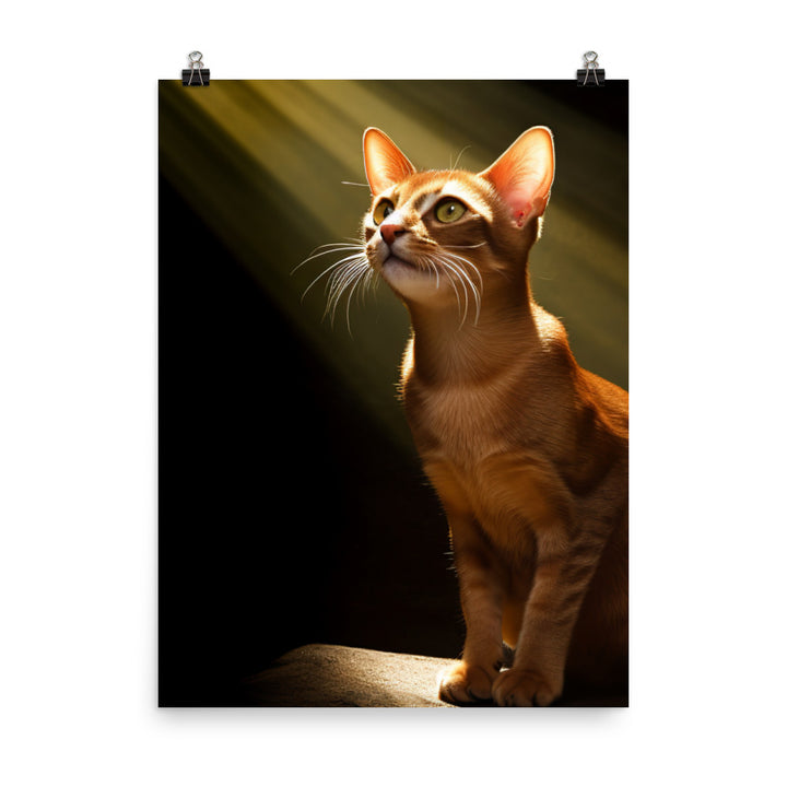 Playful Spirit of Abyssinian Cat Photo paper poster - PosterfyAI.com