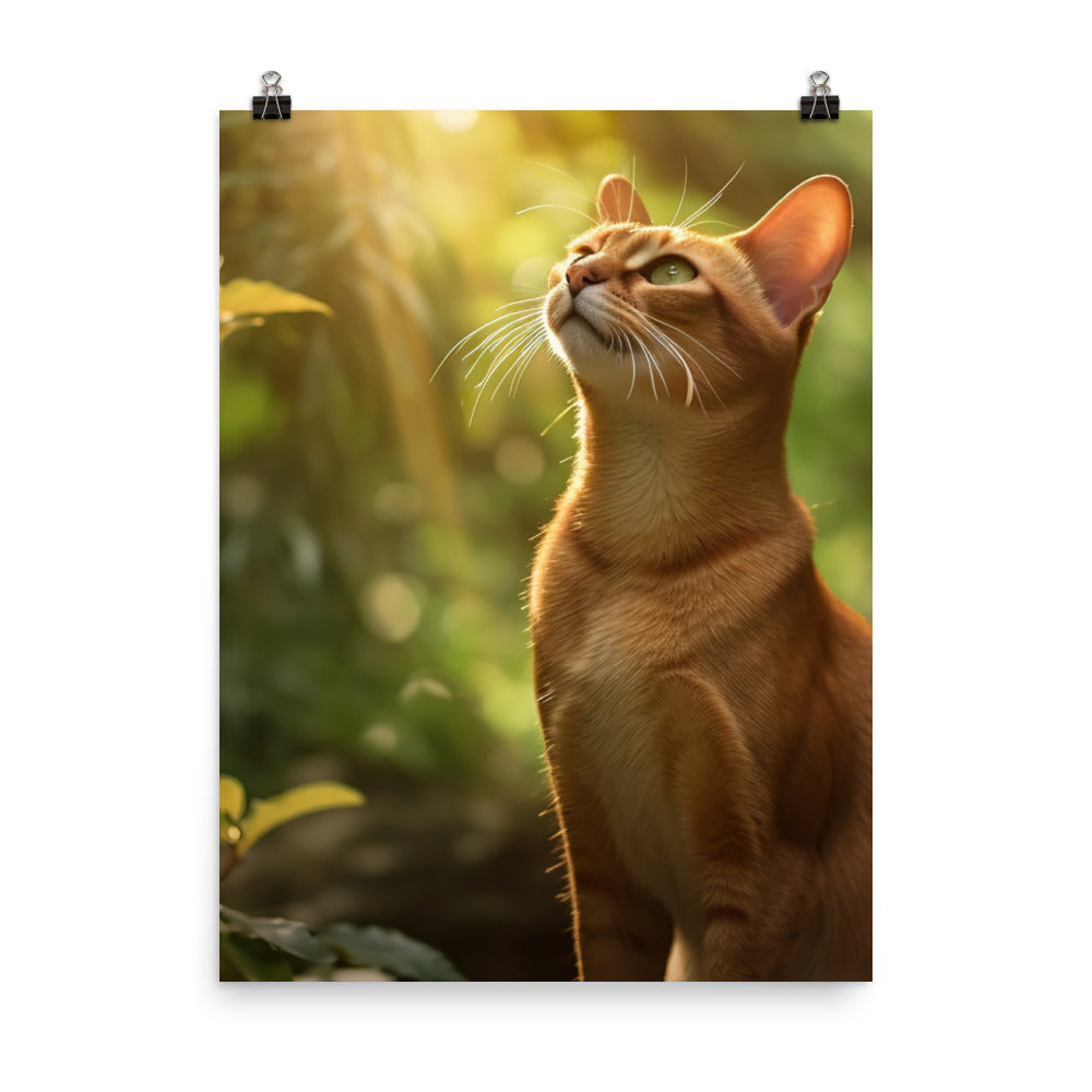 Elegance of Abyssinian Cat Photo paper poster - PosterfyAI.com