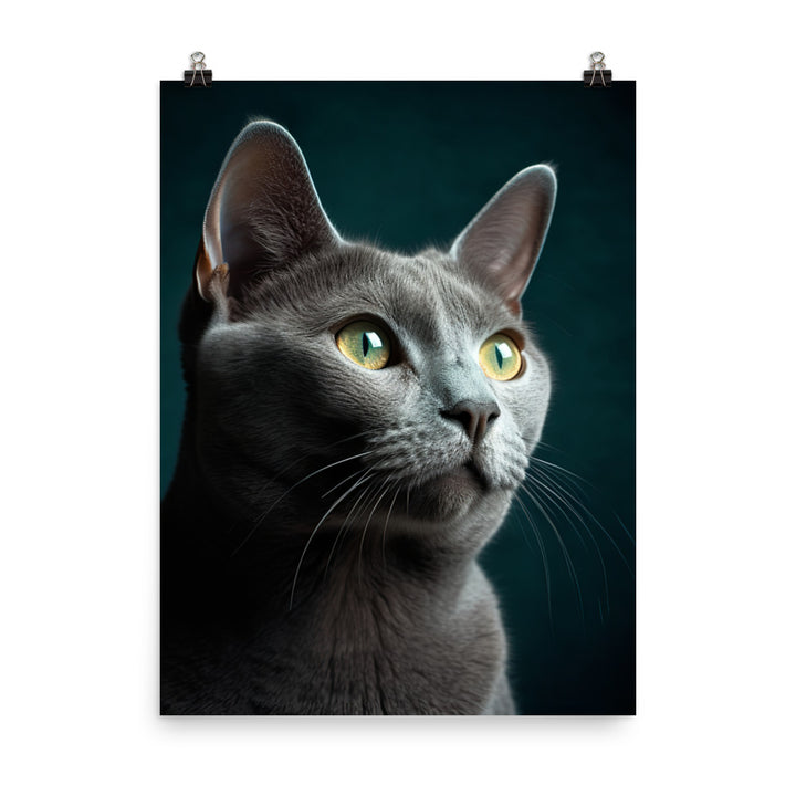 Gentle Nature of Russian Blue Cat Photo paper poster - PosterfyAI.com