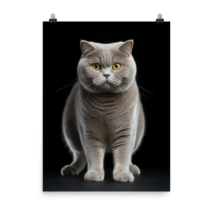 British Shorthair Cat Photo paper poster - PosterfyAI.com