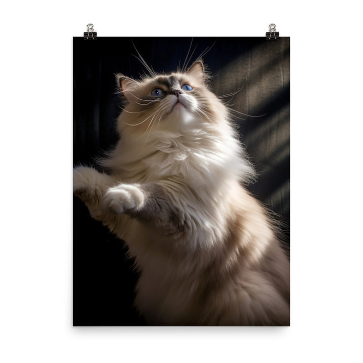 Ragdoll Cat in Motion Photo paper poster - PosterfyAI.com