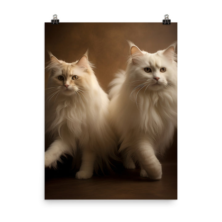 Ragdoll Cat in Motion Photo paper poster - PosterfyAI.com