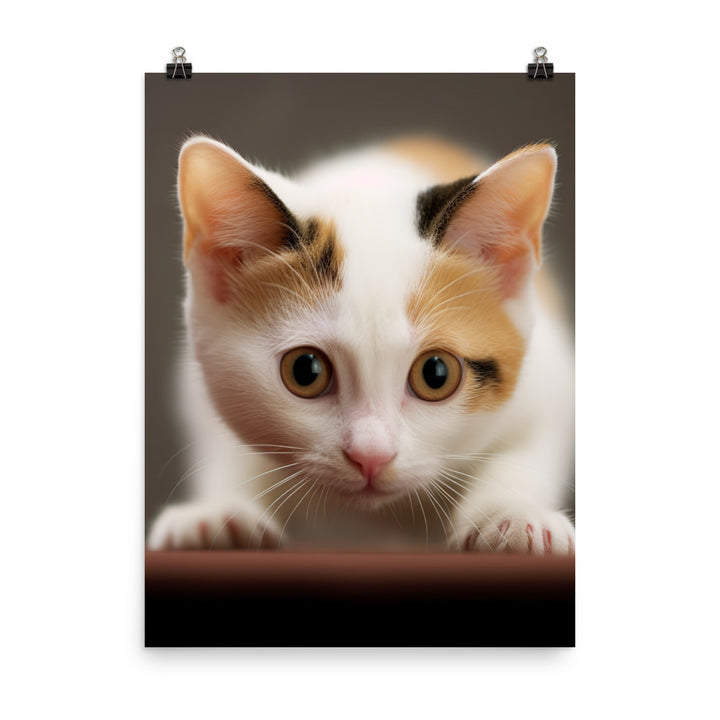 Japanese Bobtail Kitten Photo paper poster - PosterfyAI.com
