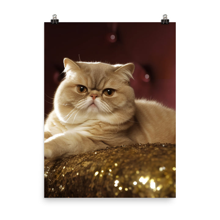 Elegance of Exotic Shorthair Adults Photo paper poster - PosterfyAI.com