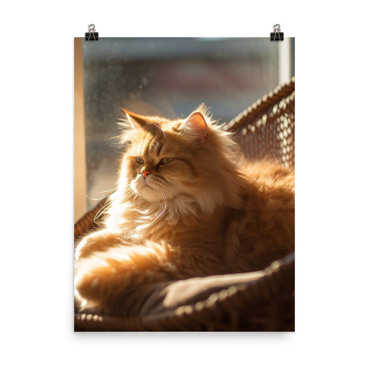 Persian Cat Relaxation Photo paper poster - PosterfyAI.com