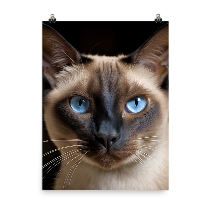 Majestic Siamese Beauty Photo paper poster - PosterfyAI.com
