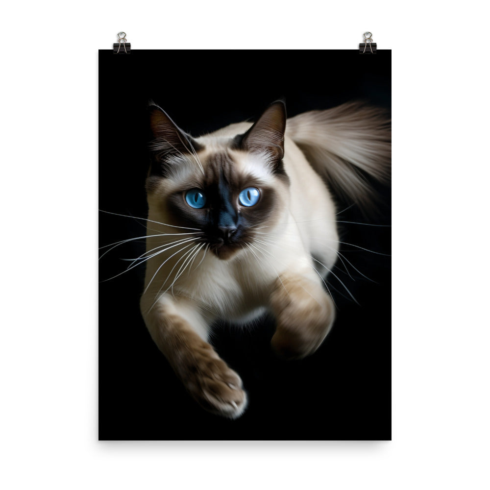 Graceful Siamese in Motion Photo paper poster - PosterfyAI.com