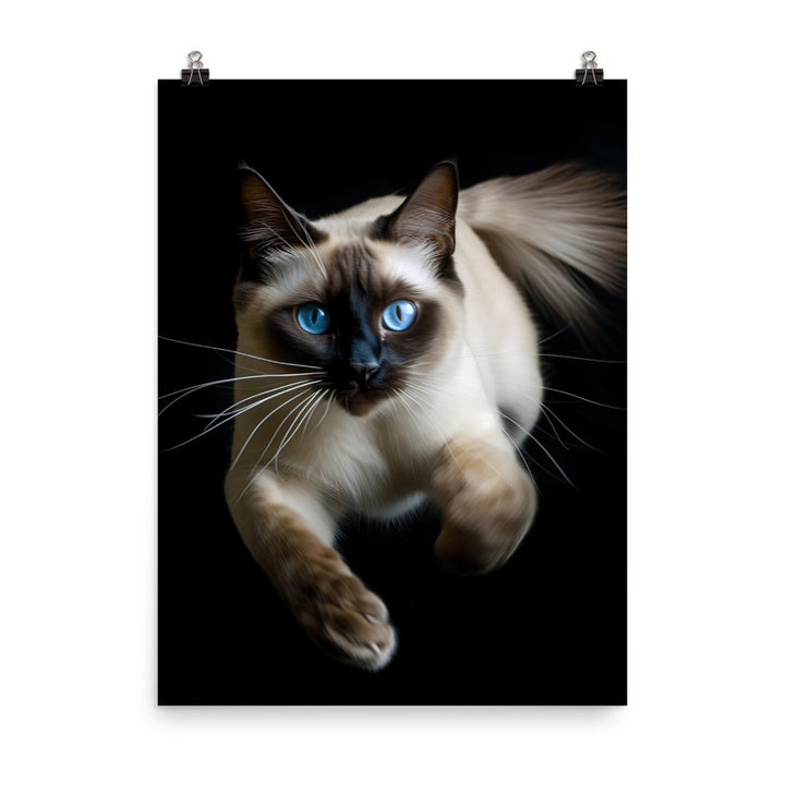 Graceful Siamese in Motion Photo paper poster - PosterfyAI.com