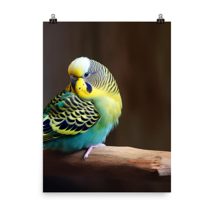 Cheerful Budgie on a Perch Photo paper poster - PosterfyAI.com