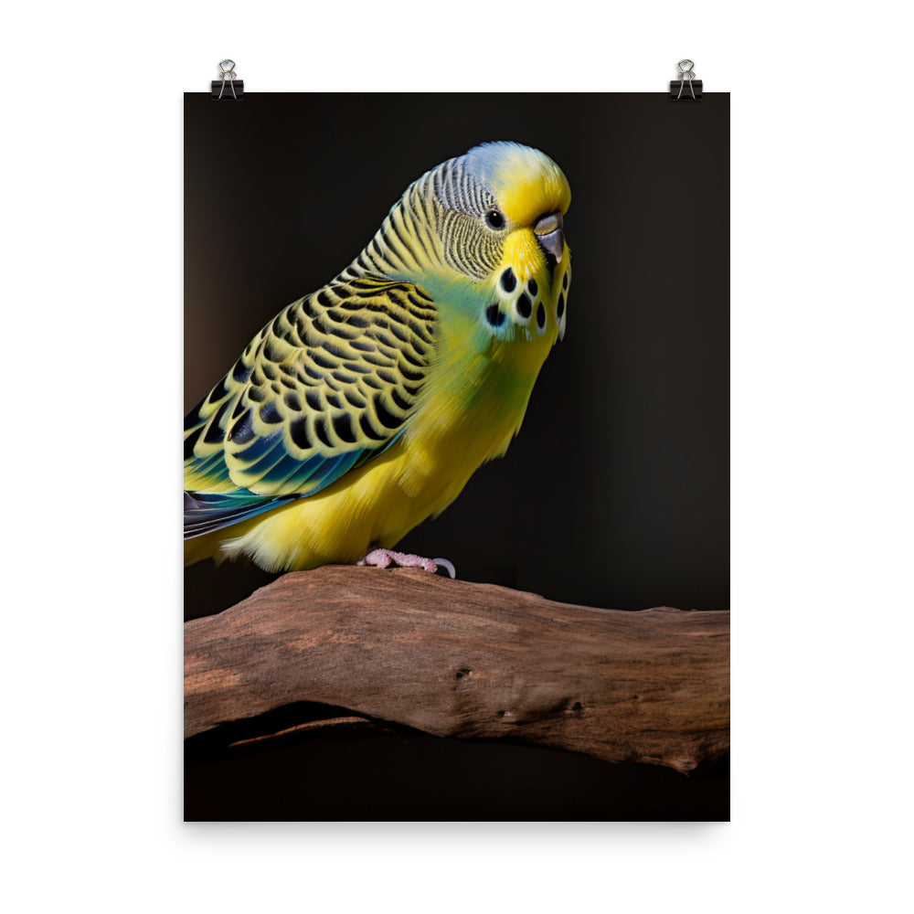 Cheerful Budgie on a Perch Photo paper poster - PosterfyAI.com
