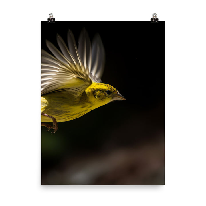 Canary in flight Photo paper poster - PosterfyAI.com