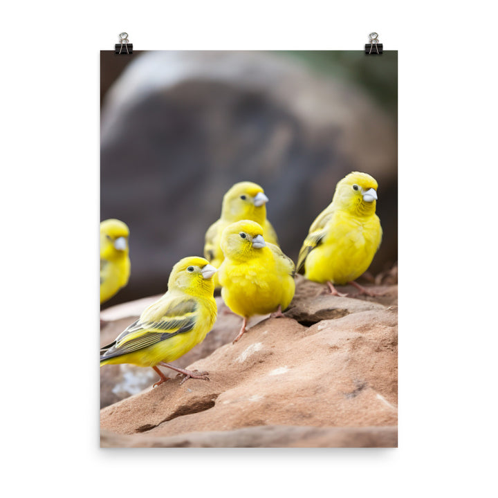 Canaries in a natural habitat Photo paper poster - PosterfyAI.com