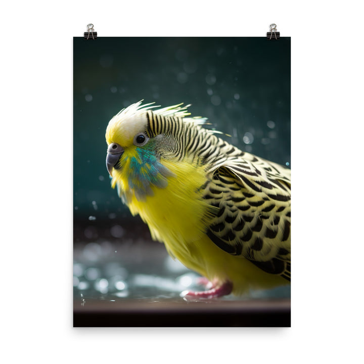 Budgie Taking a Bath Photo paper poster - PosterfyAI.com