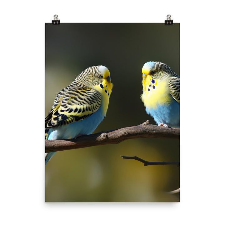 Budgie Pair on a Branch Photo paper poster - PosterfyAI.com