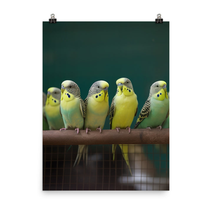 Budgerigar Photo paper poster - PosterfyAI.com
