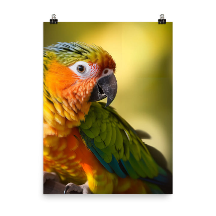 A colorful Conure perched on a branch Photo paper poster - PosterfyAI.com