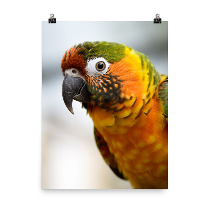 A colorful Conure perched on a branch Photo paper poster - PosterfyAI.com