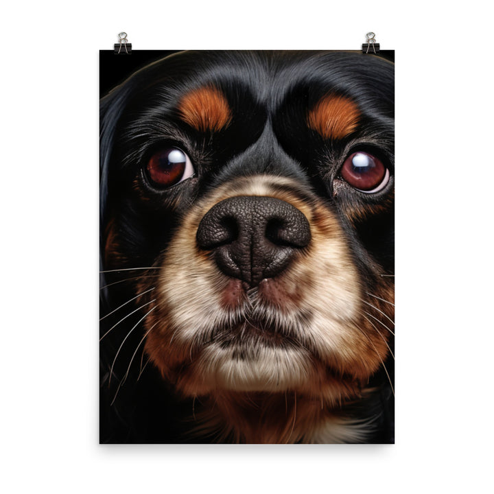 Cavalier King Charles Spaniel Photo paper poster - PosterfyAI.com