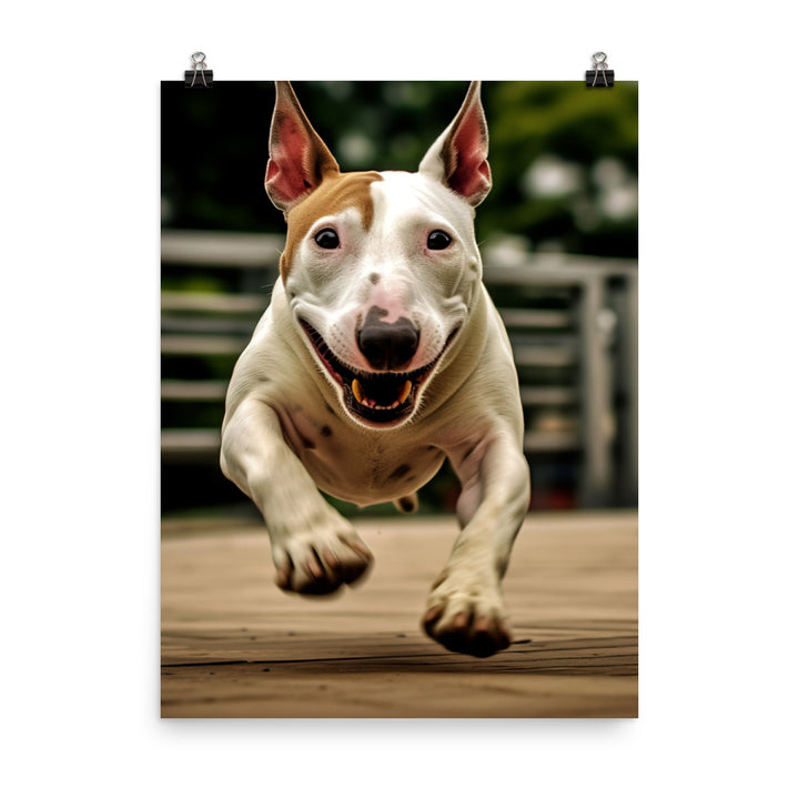 Bull Terrier at Play Photo paper poster - PosterfyAI.com