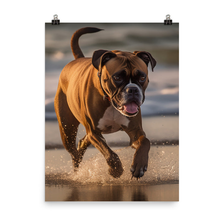 Boxer on the Beach Photo paper poster - PosterfyAI.com
