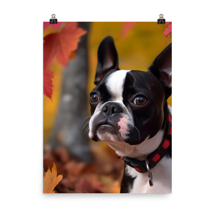 Boston Terrier with Fall Colors Photo paper poster - PosterfyAI.com