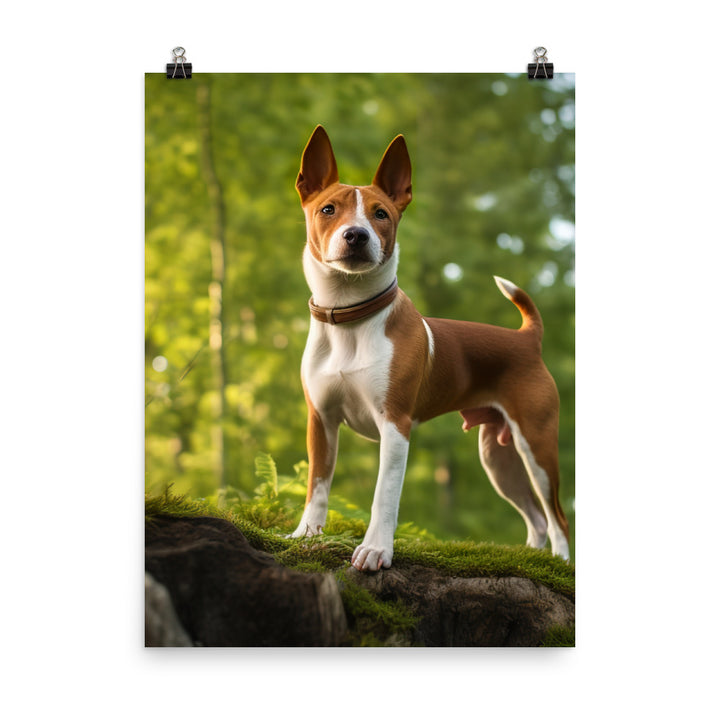 Basenji in Nature Photo paper poster - PosterfyAI.com