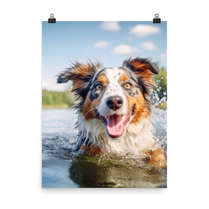 Australian Shepherd playing Photo paper poster - PosterfyAI.com