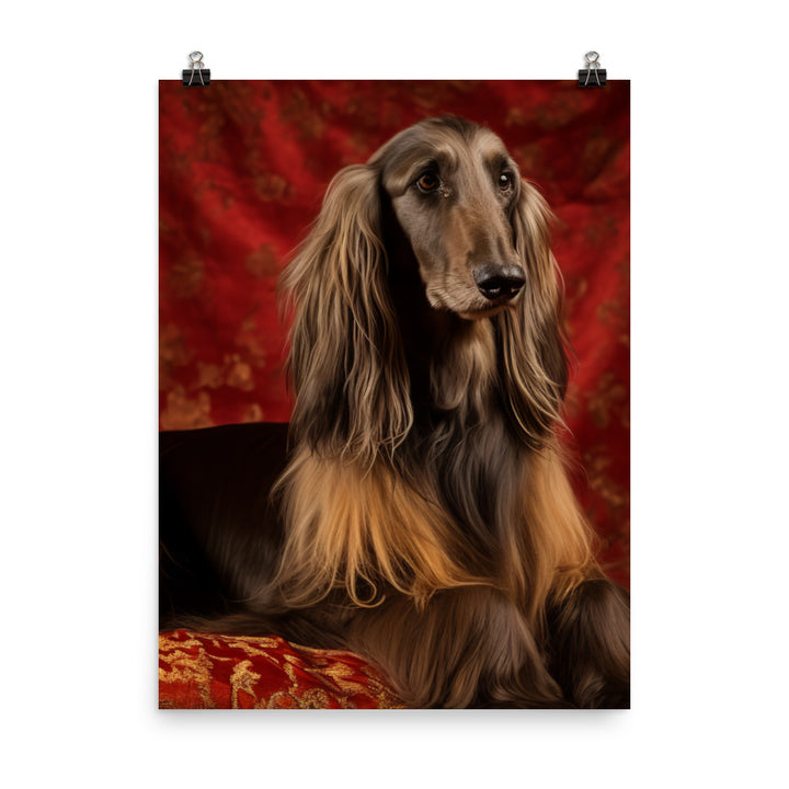 Afghan Hound in a regal pose Photo paper poster - PosterfyAI.com