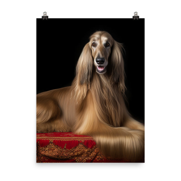 Afghan Hound in a regal pose Photo paper poster - PosterfyAI.com