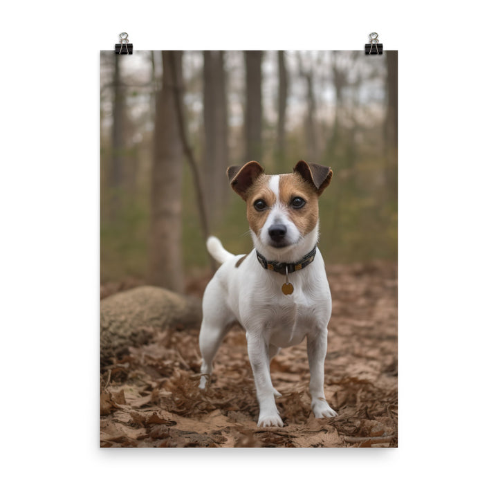 Adorable Jack Russell Terrier Posing for Camera Photo paper poster - PosterfyAI.com
