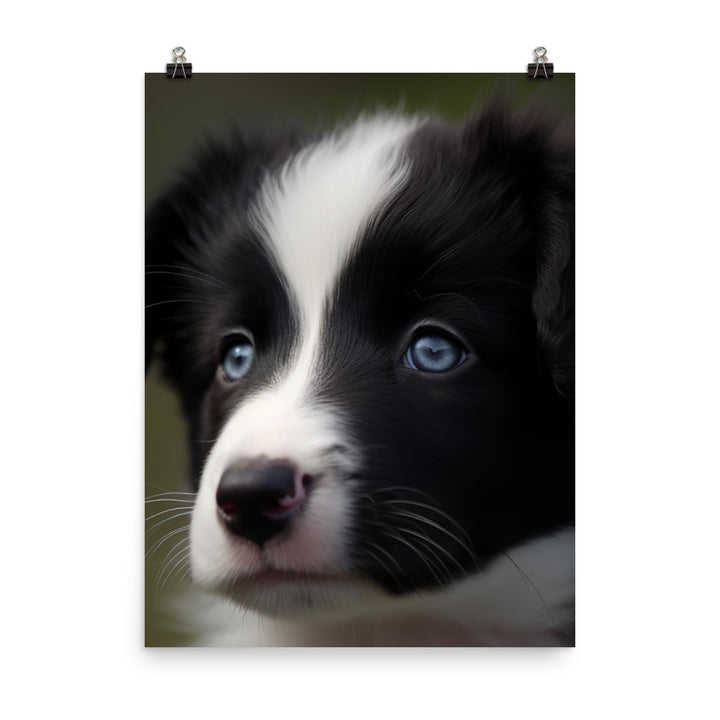 Adorable Border Collie Puppy Photo paper poster - PosterfyAI.com