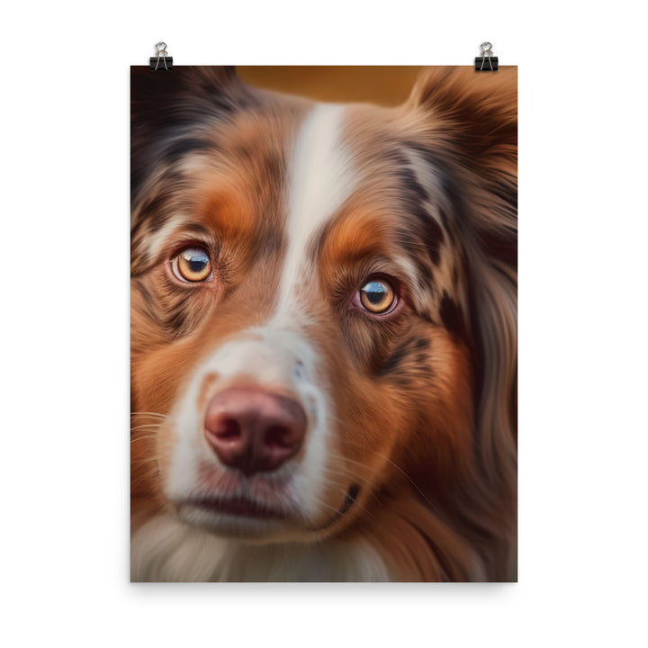 A Photorealistic portrait of your Australian Shepherd Photo paper poster - PosterfyAI.com