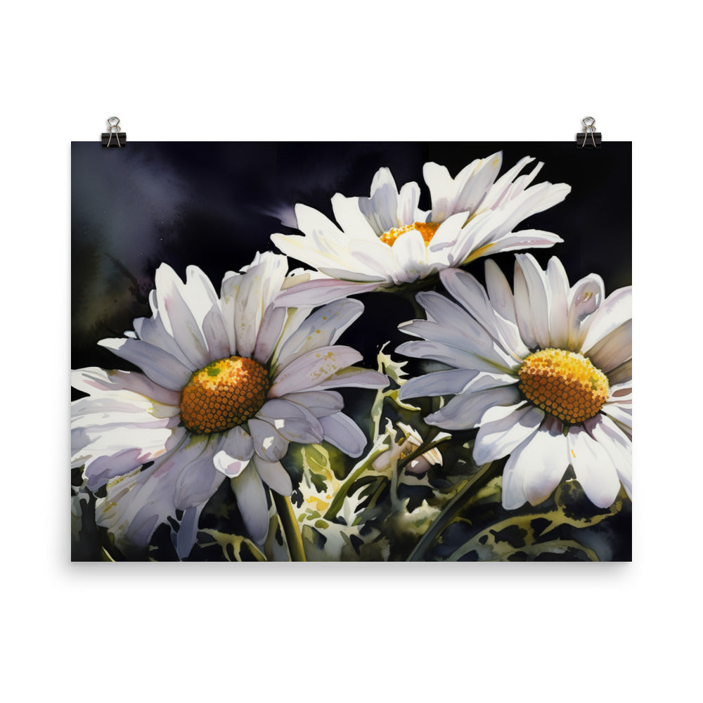 Daisies in Full Bloom photo paper poster - Posterfy.AI