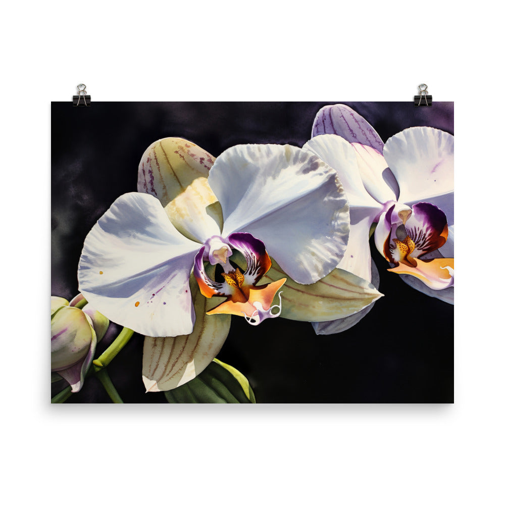 Grace of Orchids photo paper poster - Posterfy.AI