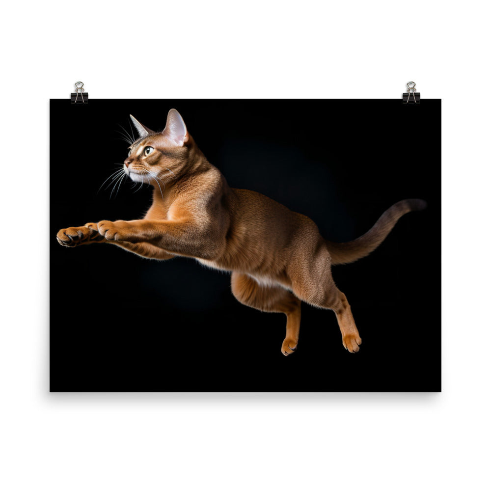 Abyssinian Cat in Mid Leap photo paper poster - Posterfy.AI