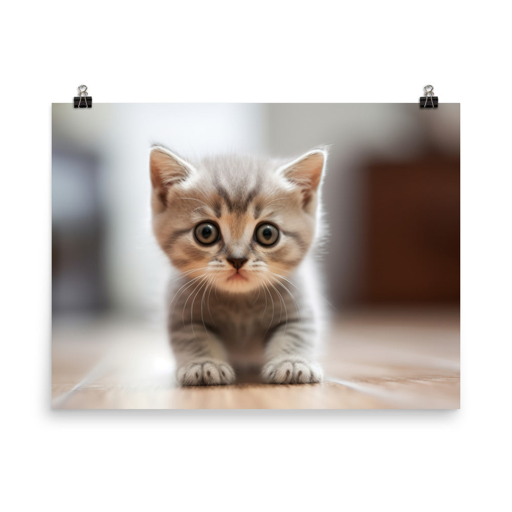 British Shorthair Kitten photo paper poster - Posterfy.AI