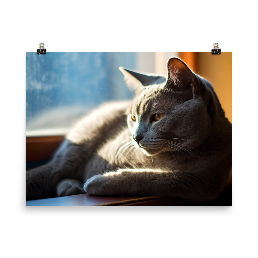 Serene Russian Blue Cat photo paper poster - Posterfy.AI