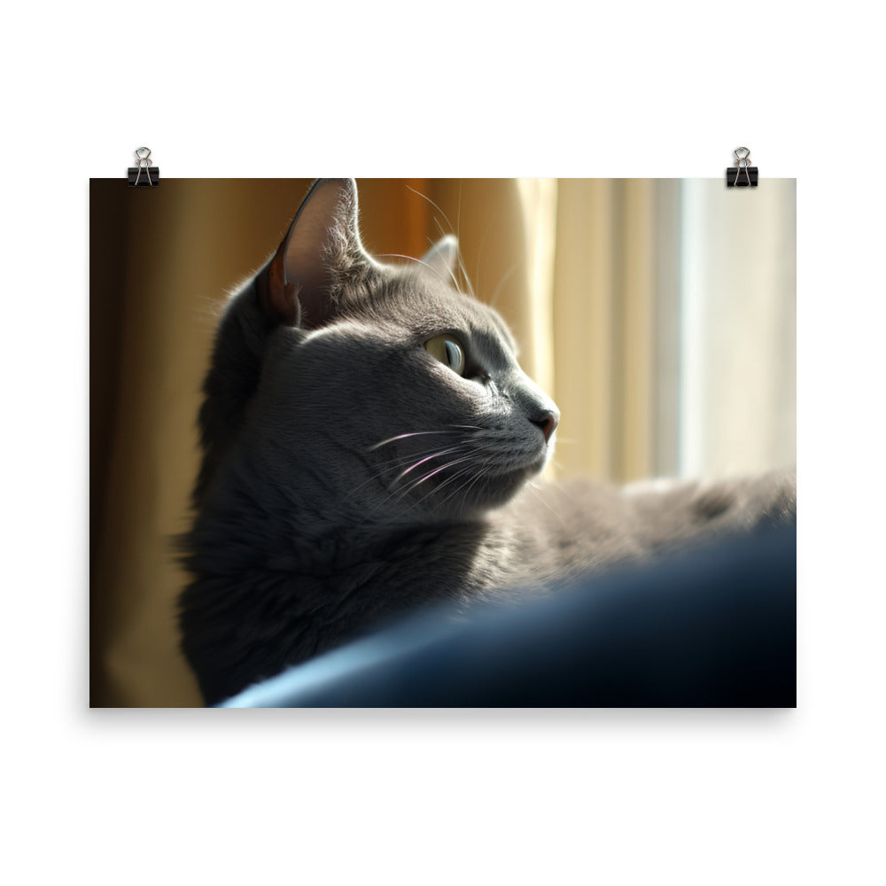 Serene Russian Blue Cat photo paper poster - Posterfy.AI
