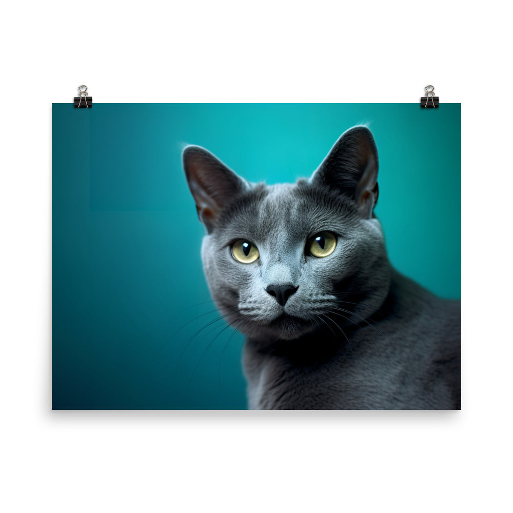Russian Blue Cat Posing photo paper poster - Posterfy.AI
