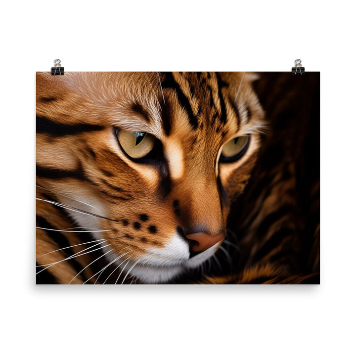 Exquisite Bengal photo paper poster - Posterfy.AI