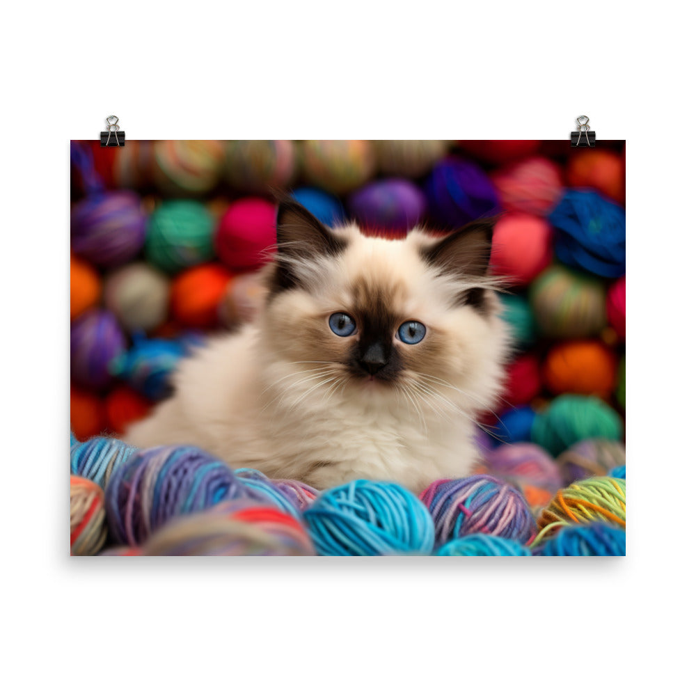 Birman Playtime photo paper poster - Posterfy.AI