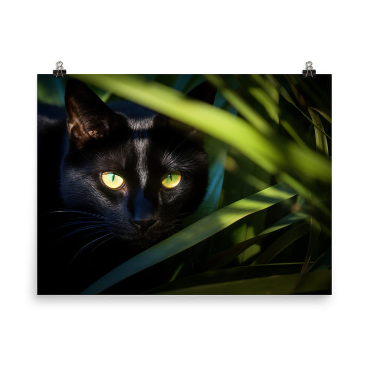 Bombay Cat in the Shadows photo paper poster - Posterfy.AI