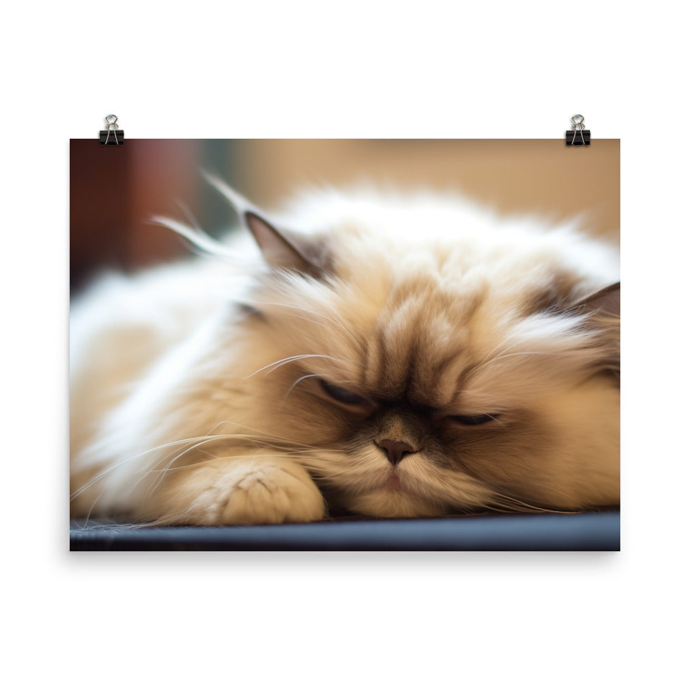 Himalayan Cats Self Care Routine photo paper poster - Posterfy.AI