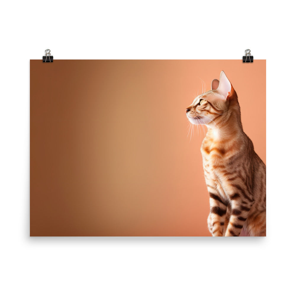 Sitting Ocicat photo paper poster - Posterfy.AI