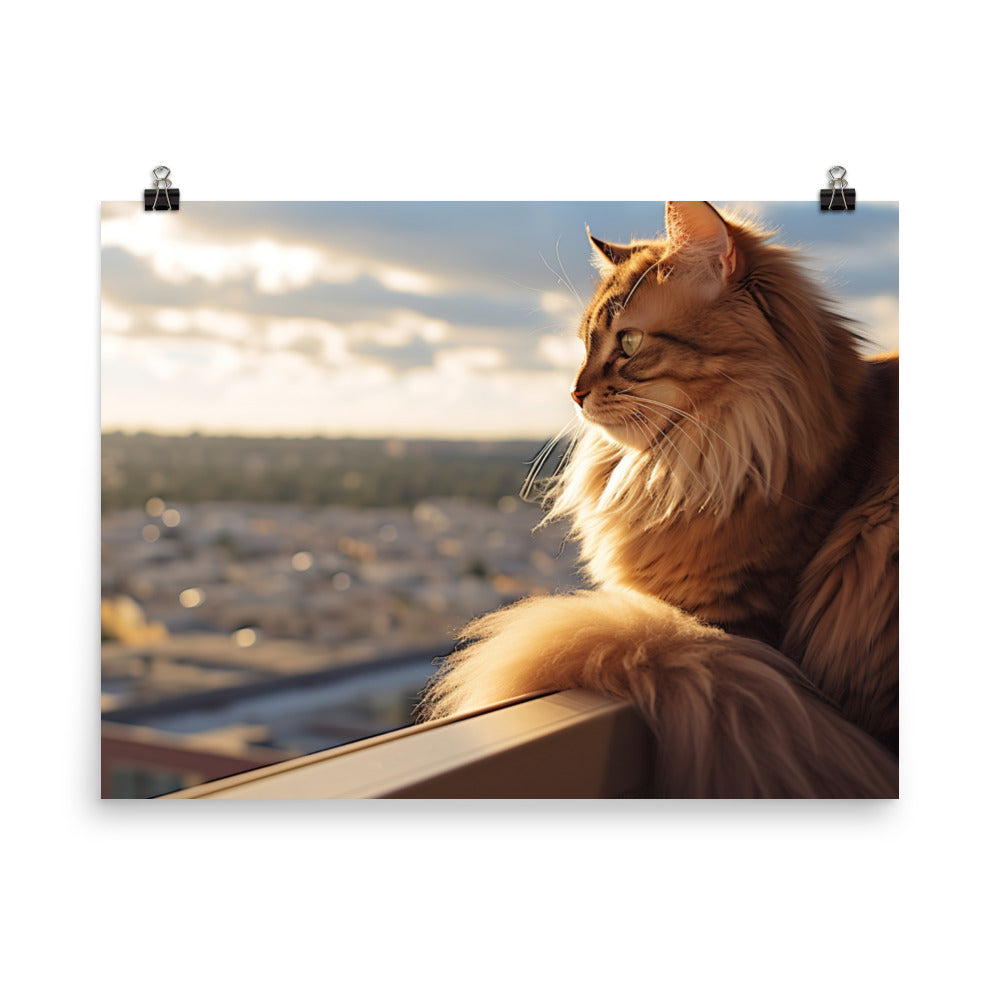Regal Somali Cat photo paper poster - Posterfy.AI