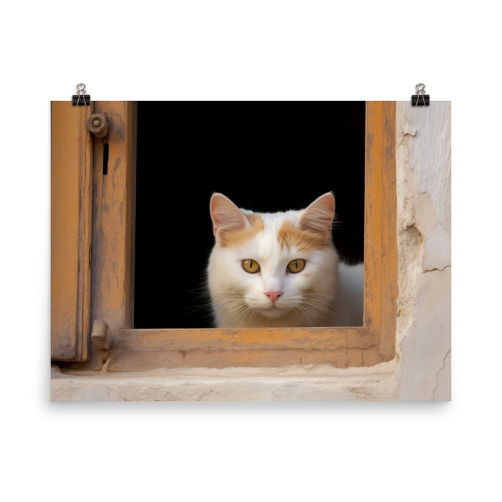 Curious Turkish Van photo paper poster - Posterfy.AI