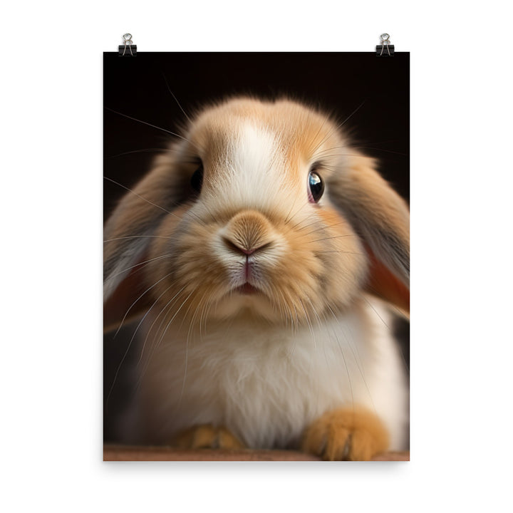 Mini Lop Bunny Photo paper poster - PosterfyAI.com