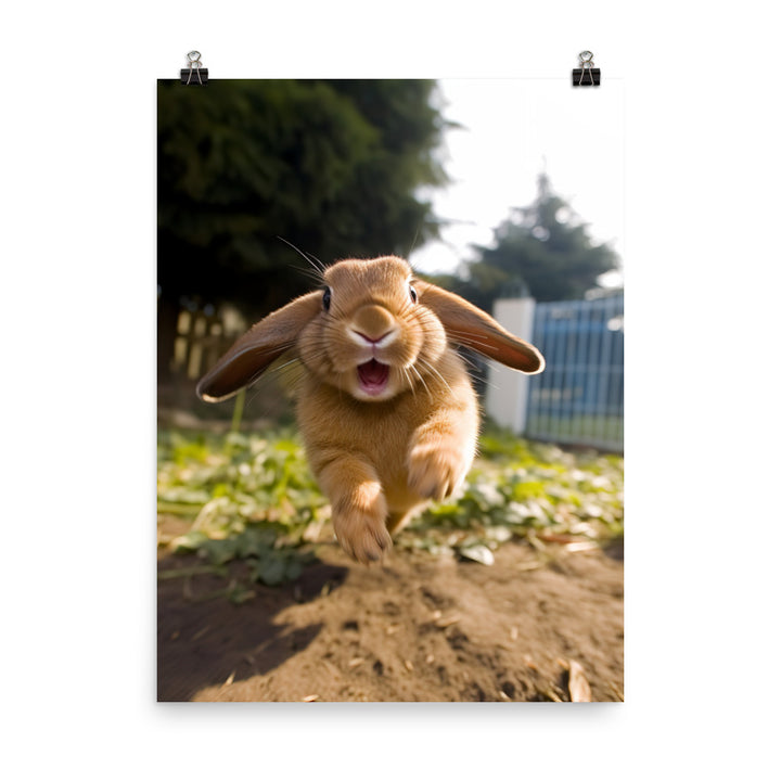 Mini Lop Bunny Enjoying a Playful Hop Photo paper poster - PosterfyAI.com