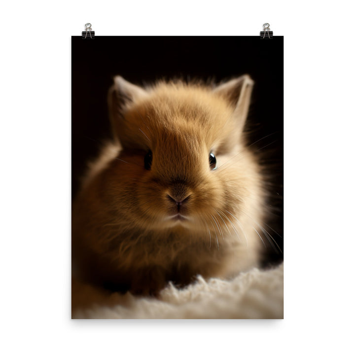 Adorable Jersey Wooly Bunny Photo paper poster - PosterfyAI.com